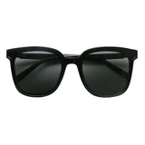 Wayfarer Plastic Sunglasses