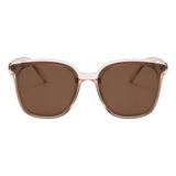 Wayfarer Plastic Sunglasses