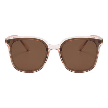 Wayfarer Plastic Sunglasses