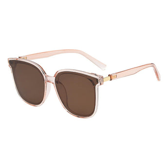 Wayfarer Plastic Sunglasses