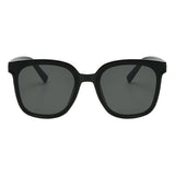Wayfarer Plastic Sunglasses