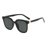 Wayfarer Plastic Sunglasses