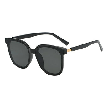 Wayfarer Plastic Sunglasses