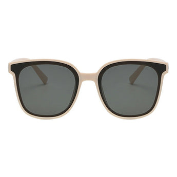 Wayfarer Plastic Sunglasses