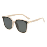 Wayfarer Plastic Sunglasses