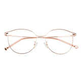 Metal Wayfarer Eyeglsses