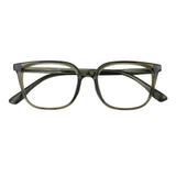 Plastic Wayfarer Glasses