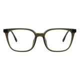Plastic Wayfarer Glasses
