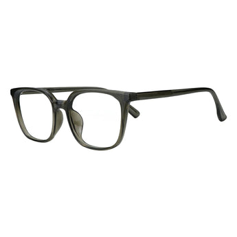 Plastic Wayfarer Glasses