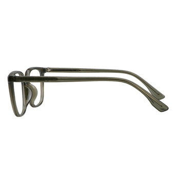 Plastic Wayfarer Glasses