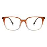 Plastic Wayfarer Glasses