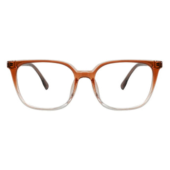 Plastic Wayfarer Glasses