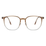 Plastic Wayfarer Glasses
