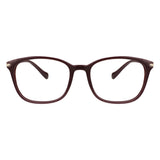 Plastic Wayfarer Eyeglasses