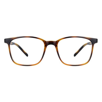 Plastic Wayfarer Eyeglasses