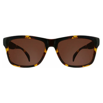 Wayfarer Plastic Sunglasses