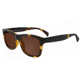 Wayfarer Plastic Sunglasses