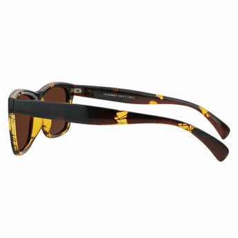 Wayfarer Plastic Sunglasses