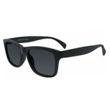 Wayfarer Plastic Sunglasses