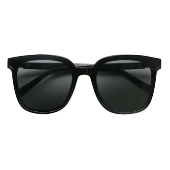 Wayfarer Plastic Sunglasses