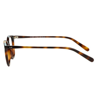 Plastic Wayfarer Eyeglasses