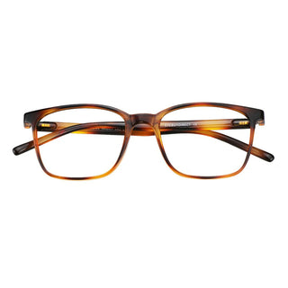 Plastic Wayfarer Eyeglasses