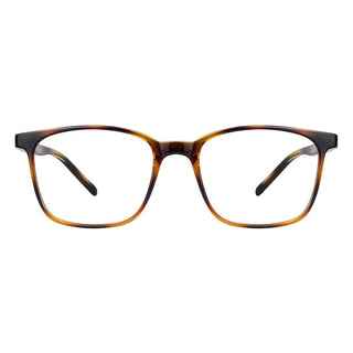 Plastic Wayfarer Eyeglasses